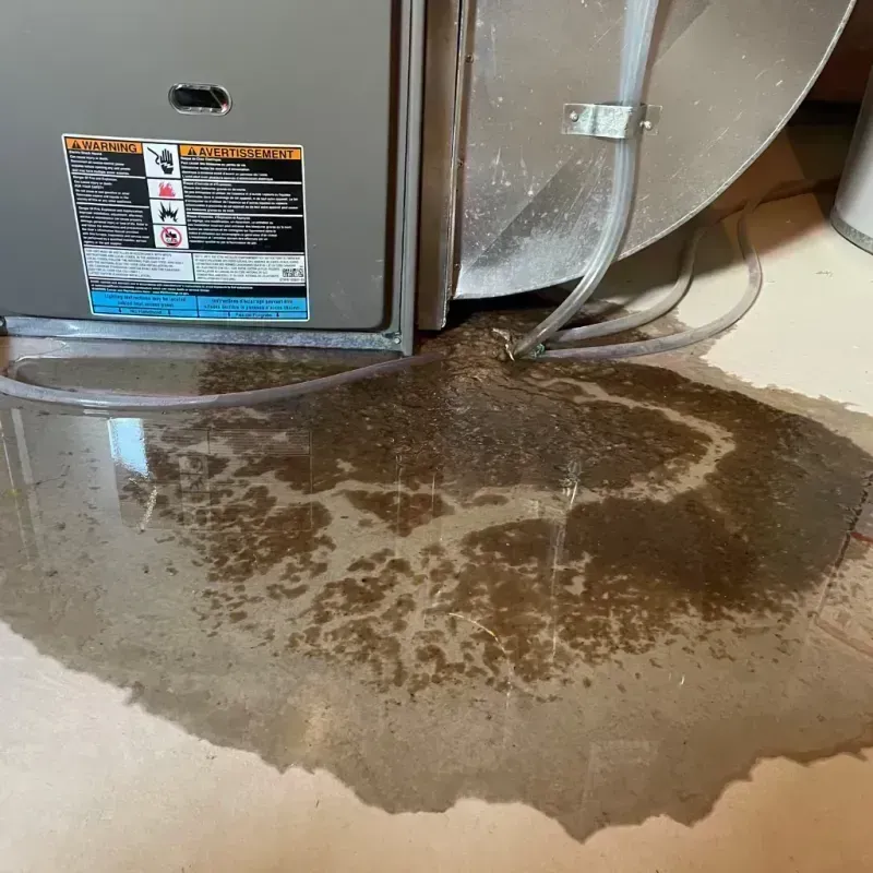 Appliance Leak Cleanup in Heritage Lake, IL